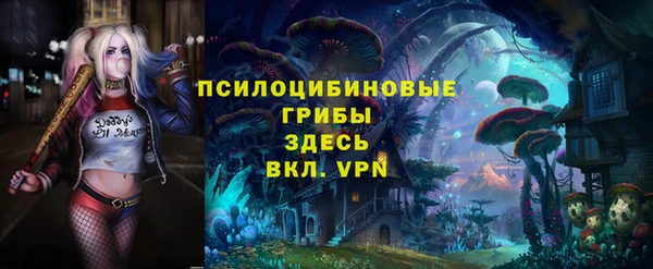 герыч Нязепетровск